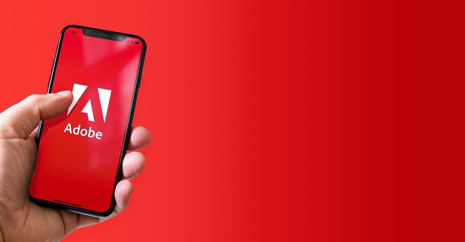 Adobe vulnerabilities