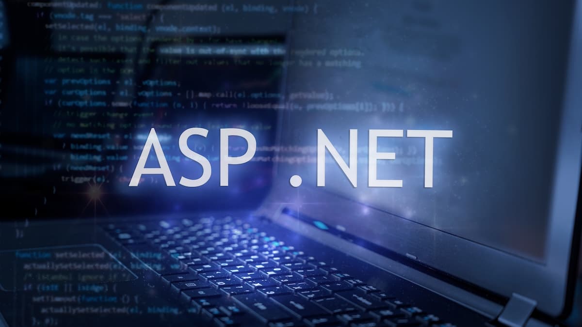 ASP.NET vulnerability