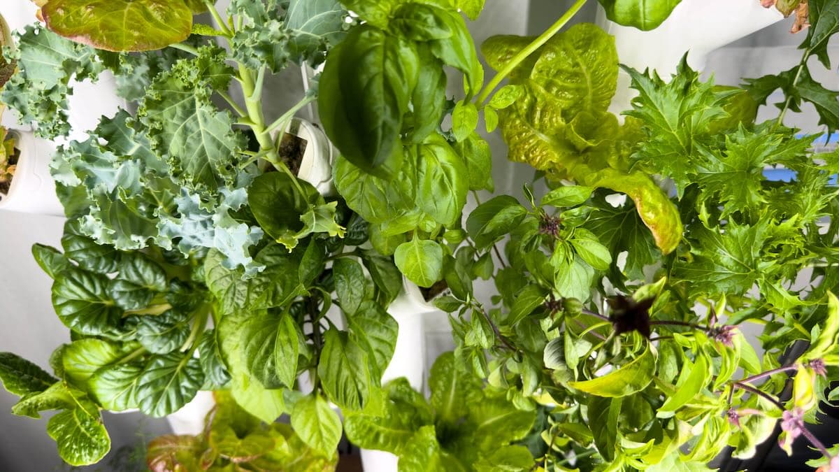 Gardyn smart garden hacking